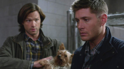 Sam scratches the dog's belly for information...reluctantly.